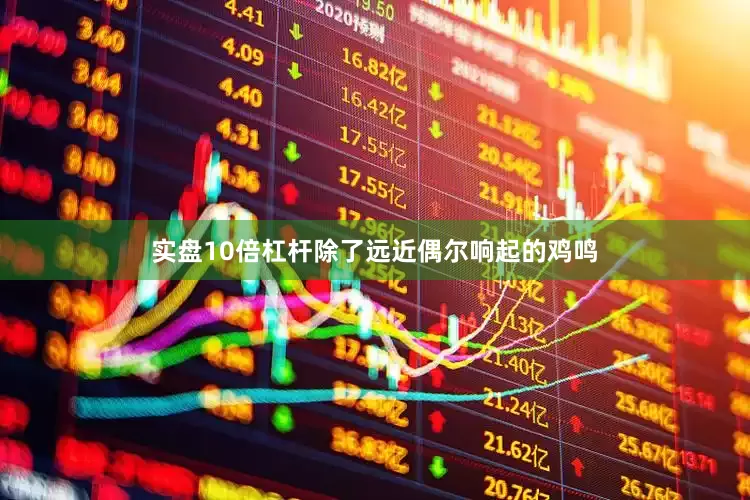实盘10倍杠杆除了远近偶尔响起的鸡鸣