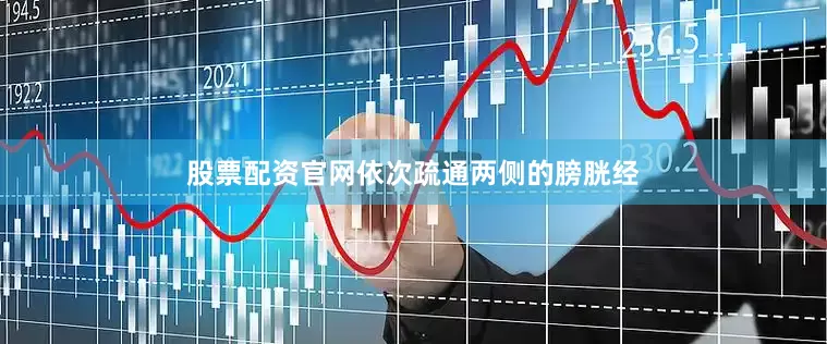 股票配资官网依次疏通两侧的膀胱经